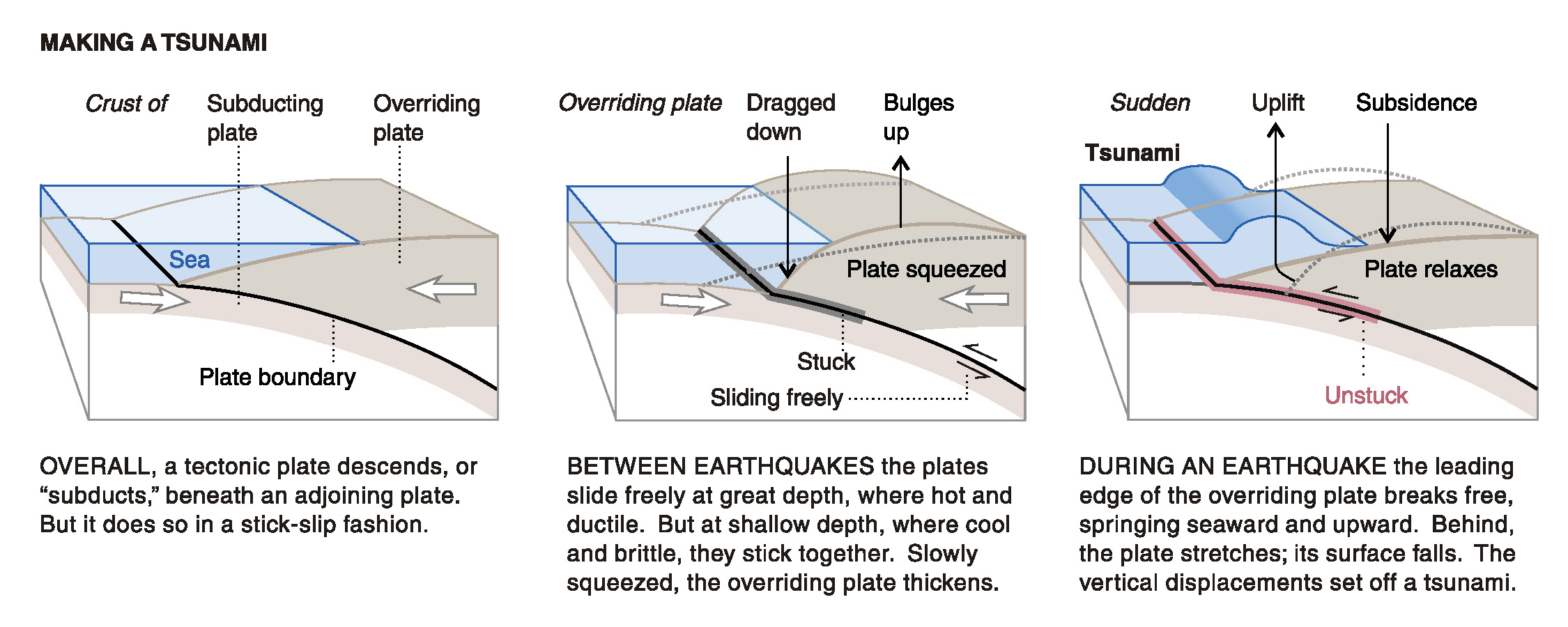 earthquake tectonic plates diagram