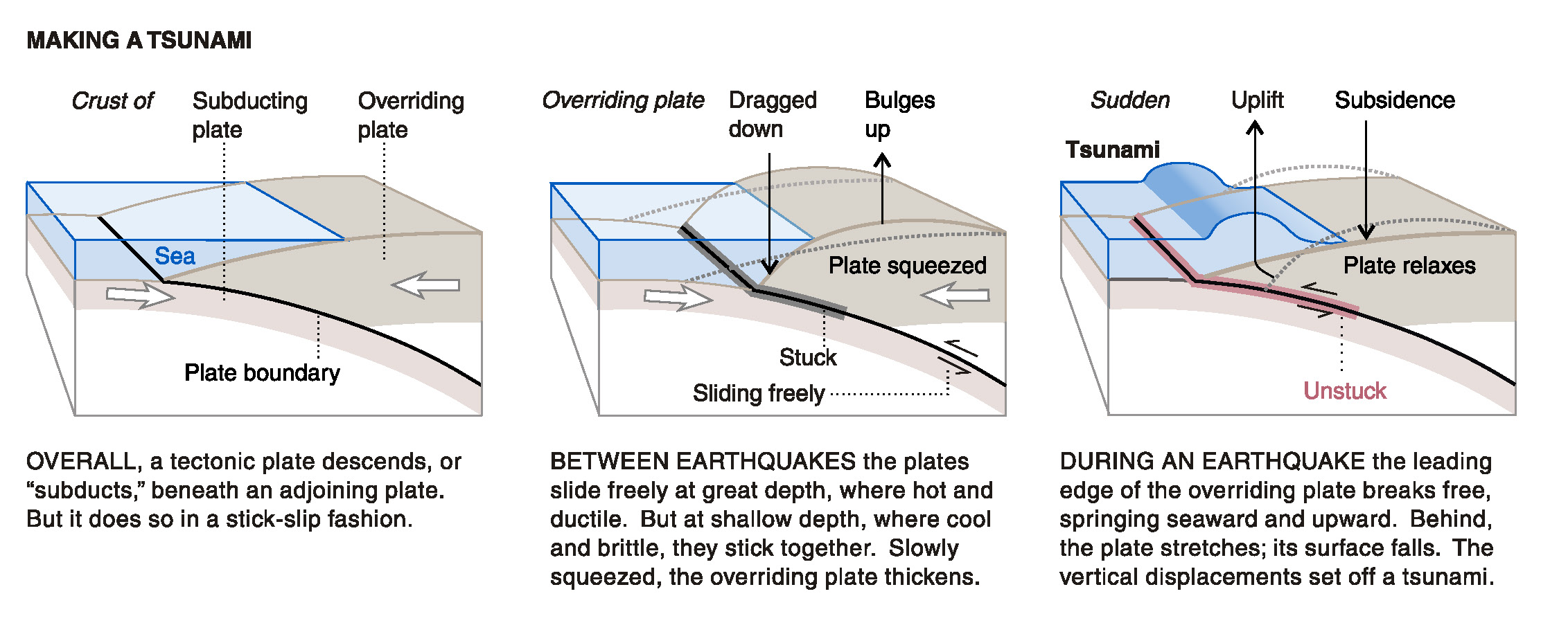 earthquake tsunami diagram