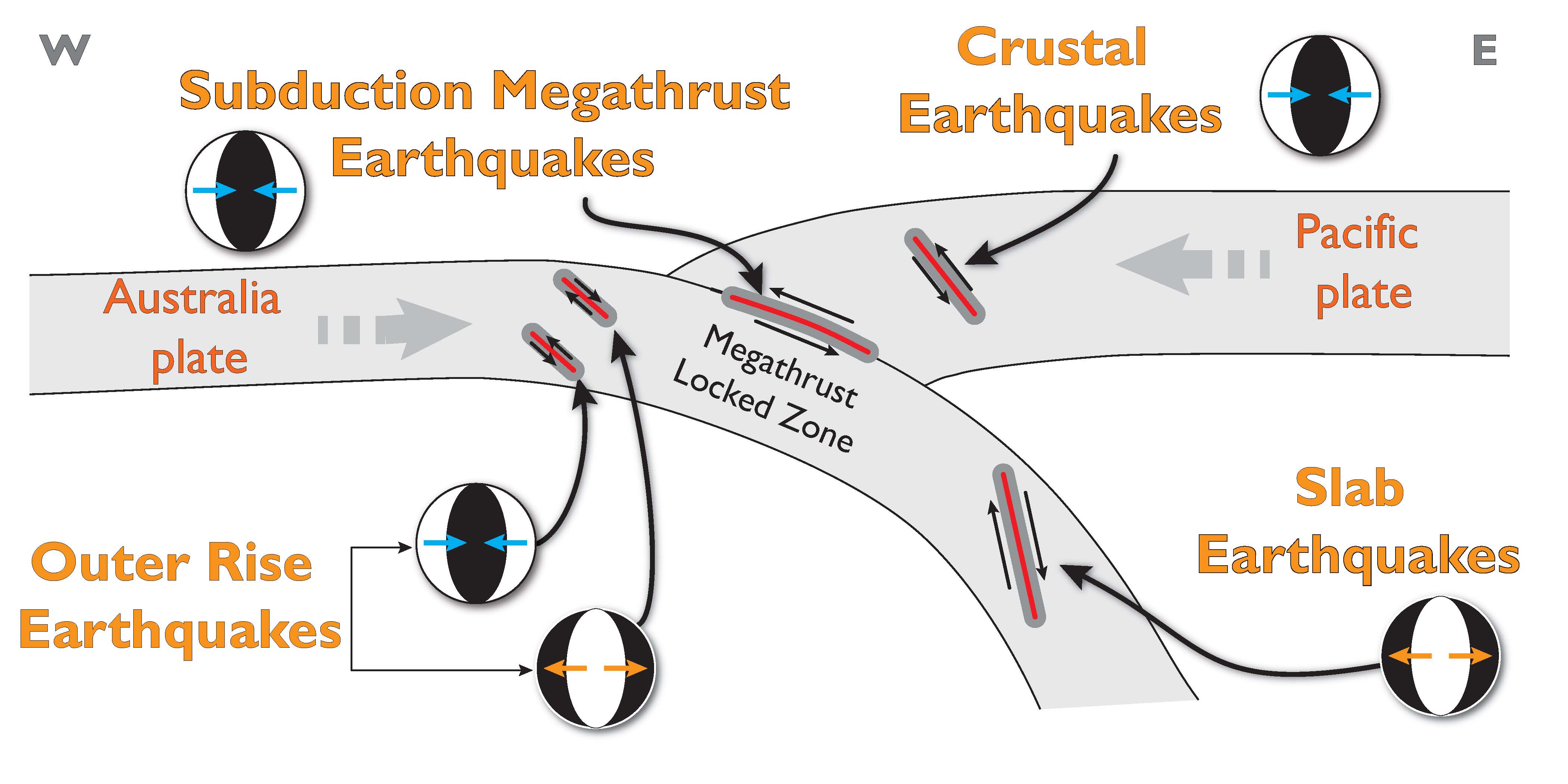 Megathrust Earthquake Diagram